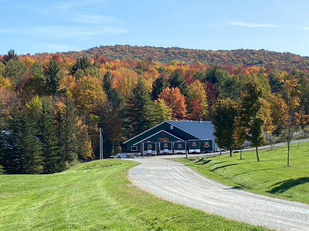 Grade A Maple Syrup